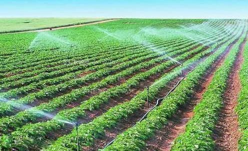 日丰满女人B视频农田高 效节水灌溉
